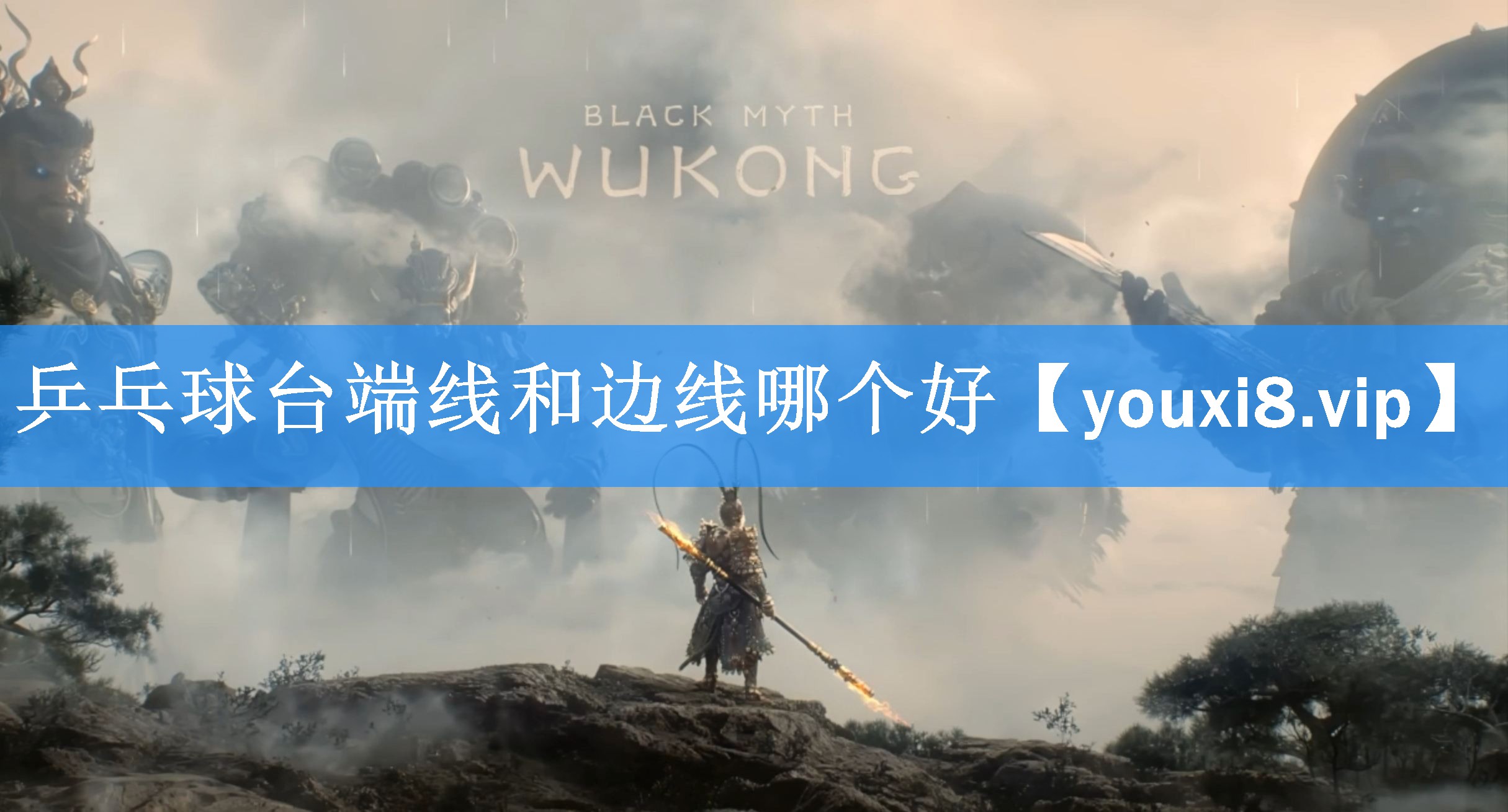 乒乓球台端线和边线哪个好 乒乓球台端线和边线哪个好